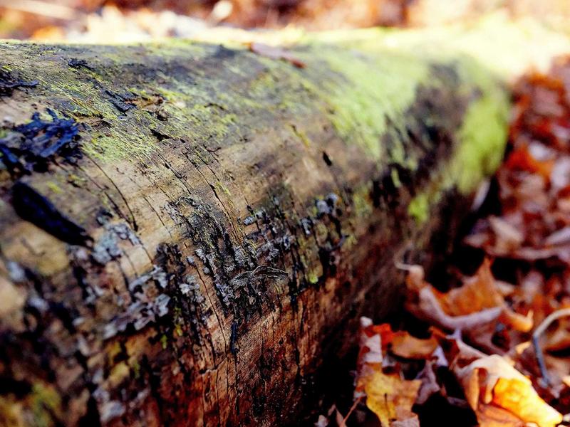 sudoku family sharing screenshot 5